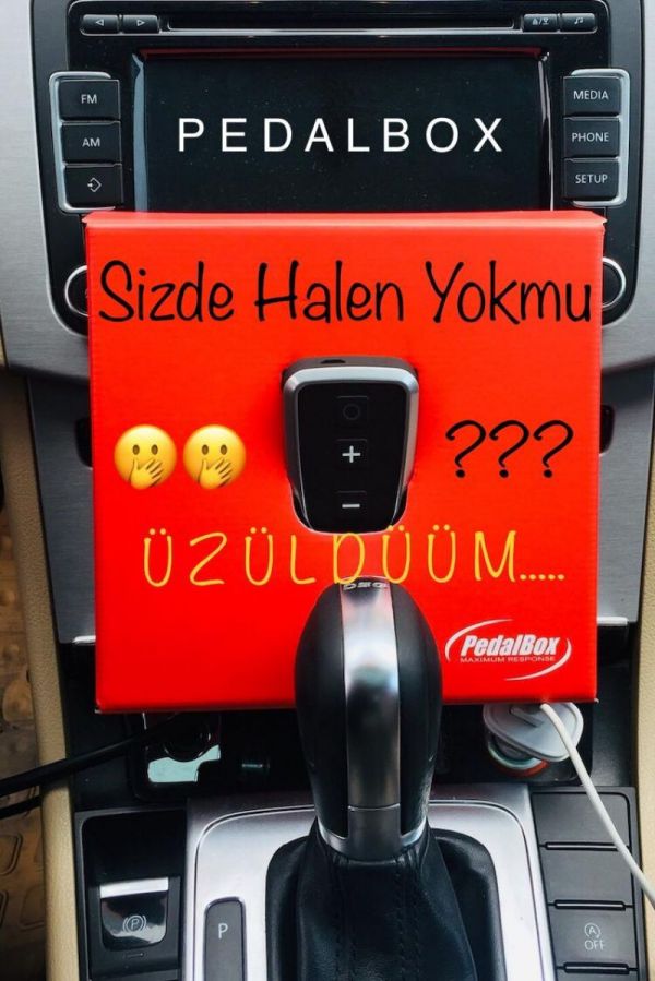 PEDALBOX DENZLNN TEK YETKL FRMASI