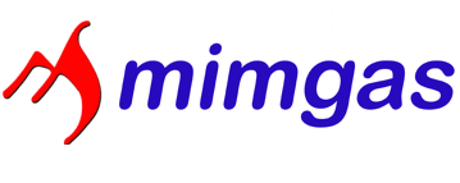 MİMGAS