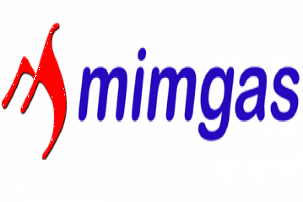 MMGAS